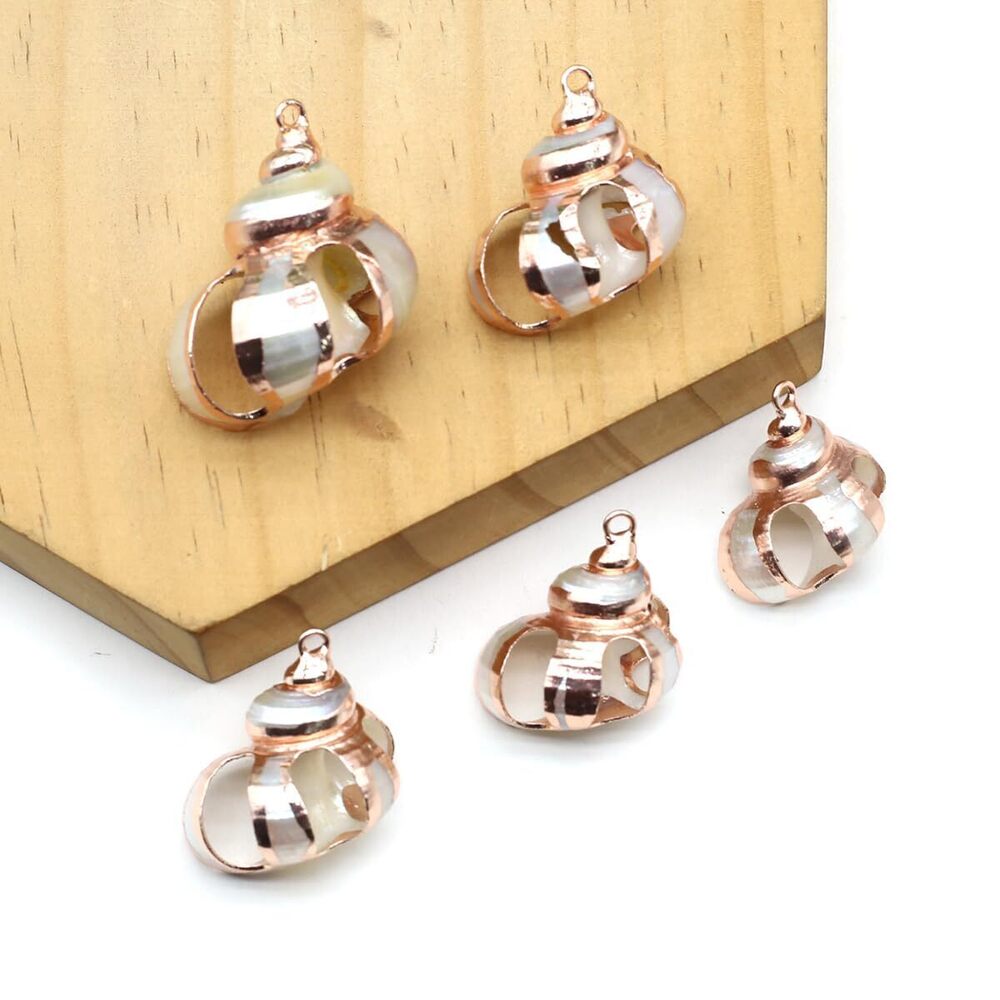 8848 20pcs Natural Pendants - Spiral, Conch, Cowrie, Sea Shells Charms - Picture 7 of 7